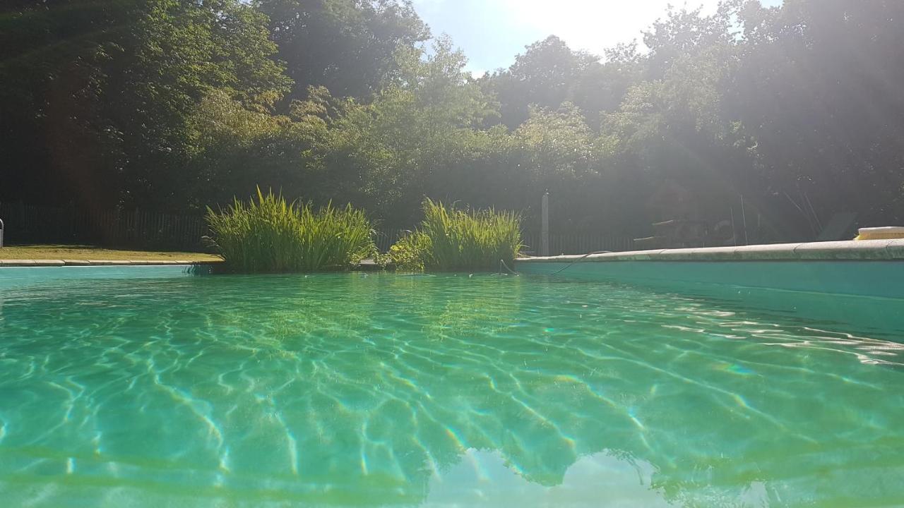 Chateau Igny La Perche Εξωτερικό φωτογραφία